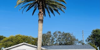 10120 Willow Dr Gallery 1