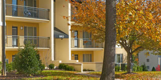 Encore at Wheaton Station Gallery 4