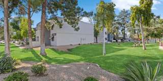 Chandler Ridge Gallery 21