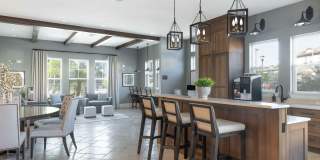 Cortona South Tampa Gallery 19