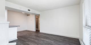 Timber Ridge Gallery 20