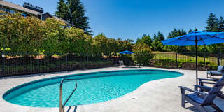 Black Lake Gallery 10