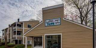 Compass at City Center Gallery 18