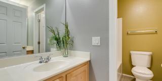 6281 Whispering Creek St Gallery 5