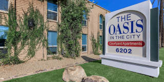 Oasis in the City Oasis in the City Gallery 18