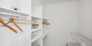 Lake Forest Gallery 5