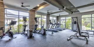 Vintage Amelia Island Apartments Gallery 101