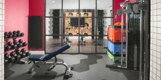 The Ryan Gallery 17