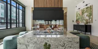 Edera Gallery 16