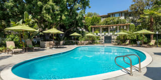 Orange Grove Circle Gallery 6