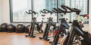 Mondrian on Lake Eola Gallery 27