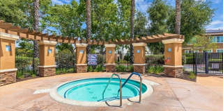 42942 Avenida Amistad Gallery 36