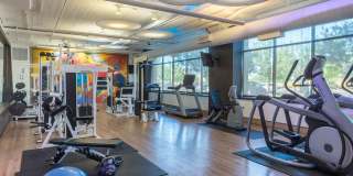 The Shoreline Apartments The Shoreline Apartments Gallery 15