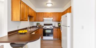 Rock Creek Gallery 1