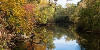 Elan Union Market Gallery 36