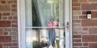 Charming 3BR House in New Orleans Gallery 4