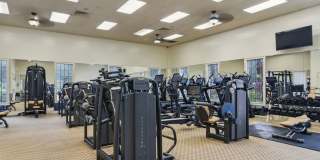 Luxury TerraLargo Resort Community- 4bed, 3bath FURNISHED home Gallery 24