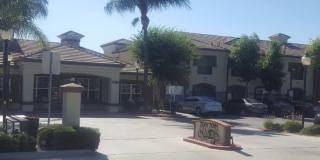 Season's at La Palma Gallery 1