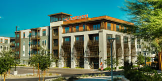 The Cameron Gallery 26