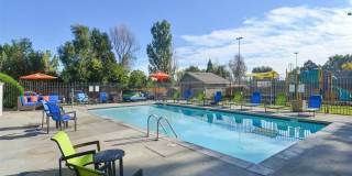 The Modern Gallery 33