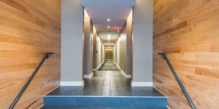 The Newton Gallery 12
