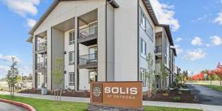 Solis at Petrosa Gallery 12