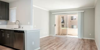 Central Park Gallery 6