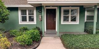 Hottest location, unit available near best beaches and downtown Gallery 1