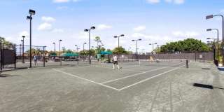 10135 Colonial Country Club Blvd unit: 1208 Gallery 31