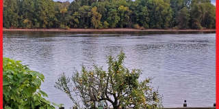 502 Radcliffe Street Gallery 1