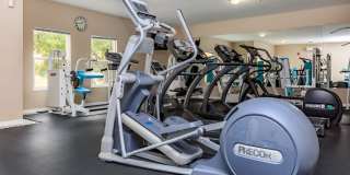 Adagio at Westshore Palms Gallery 12