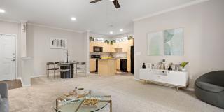 Artisan Apartments & Shops Gallery 26