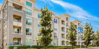 Windsor Lofts at Universal City Gallery 2