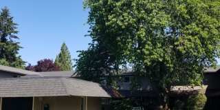 Townhouse Square Gallery 25