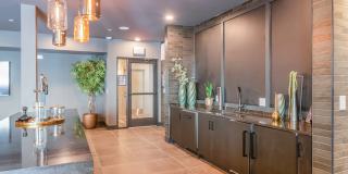 The Walcott Hackensack Gallery 26