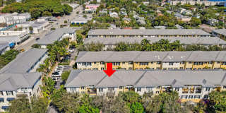 343 Flamingo Drive Gallery 53