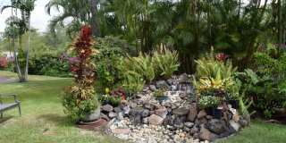 Maui Banyan 1 bd 2 bath furnished unit available October 1, 2026 for 1 yr. term. Gallery 12