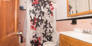 255 Corey Rd #1A Boston MA 02135 Gallery 7