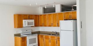 229 Commercial Boulevard Gallery 10