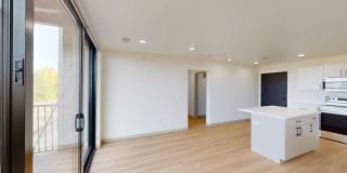 Maple Rock Gallery 226