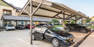 Olympus Waterford Gallery 24