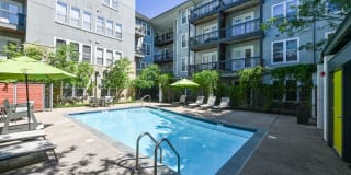 The Stories Gallery 15