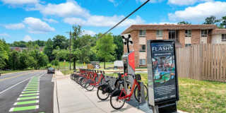 Montgomery White Oak Gallery 14