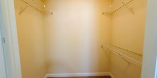 3 Bedroom, 2 Bath with Garage For Rent in New Tampa! Gallery 18