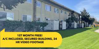 The Pines Apartments Gallery 2