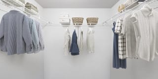 Palm Trace Landings Gallery 95