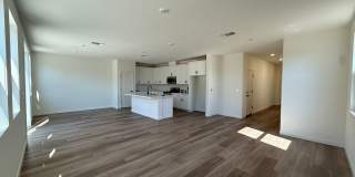 New Build with Large Backyard Gallery 4