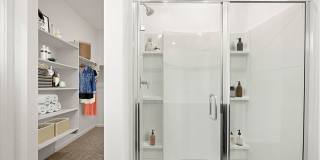 The Nexus at Bella Vista Gallery 17