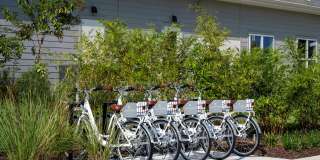 Livano Wildwood Gallery 18