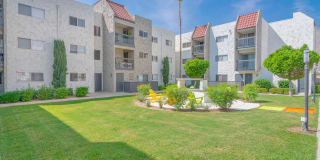 THE MODERN CACTUS Gallery 13